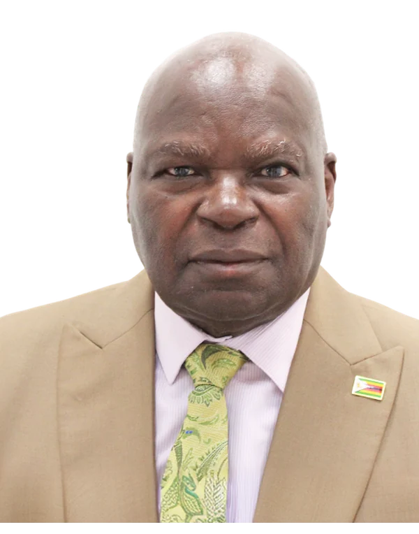 H.E. Er. July G. Moyo